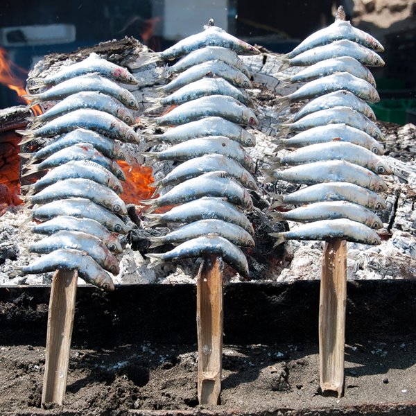 Sardinas en espetos