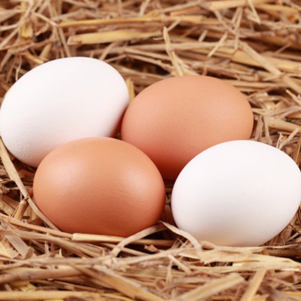 Huevos blancos y rubios