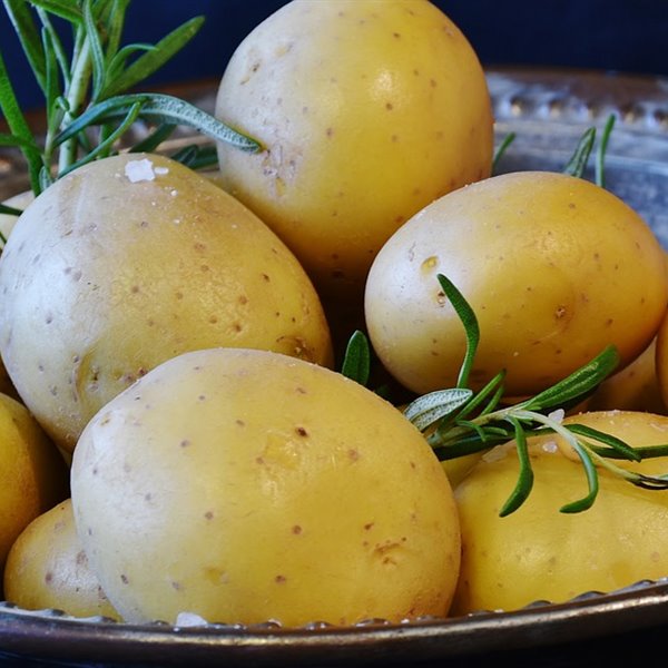 4 trucos infalibles para cocer patatas en el microondas (¡en minutos!)