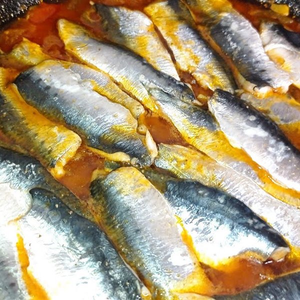 Moruna de sardinas, el aperitivo saludable de Algeciras