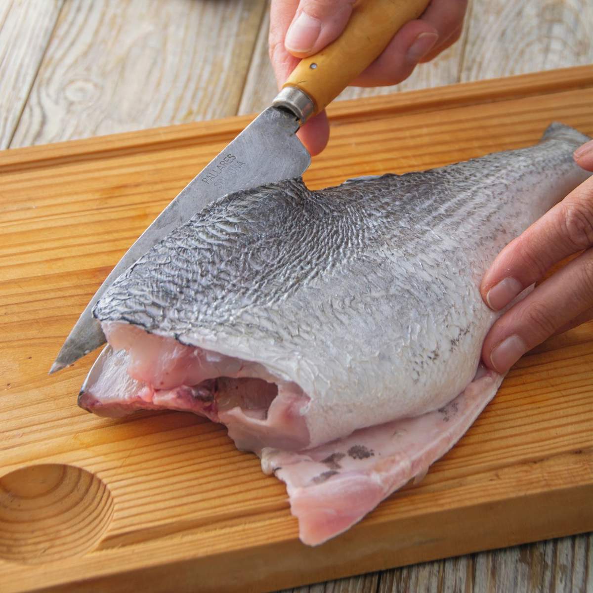 Dorada