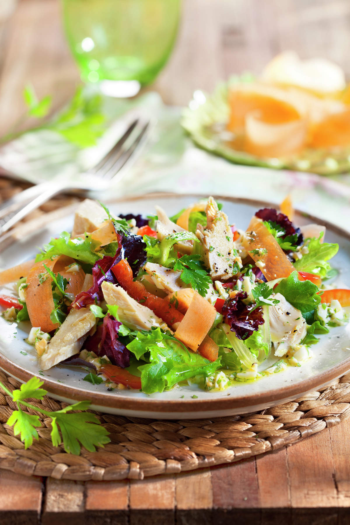 ENSALADA CON VERDURAS Y VENTRESCA DE ATÚN.