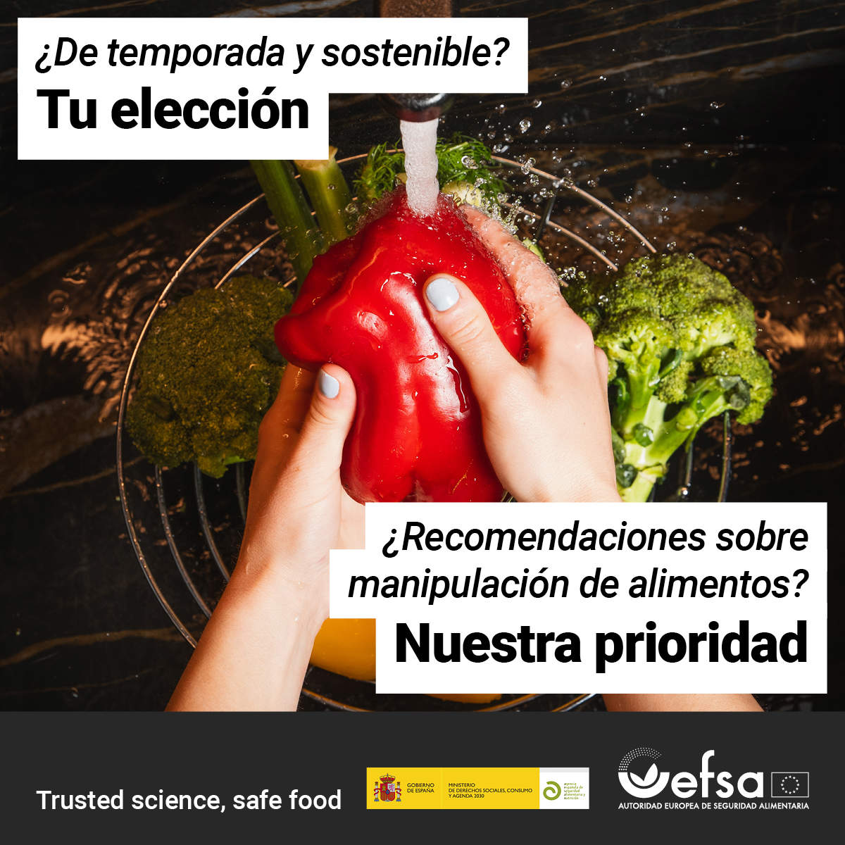 EFSA Manipulación alimentos