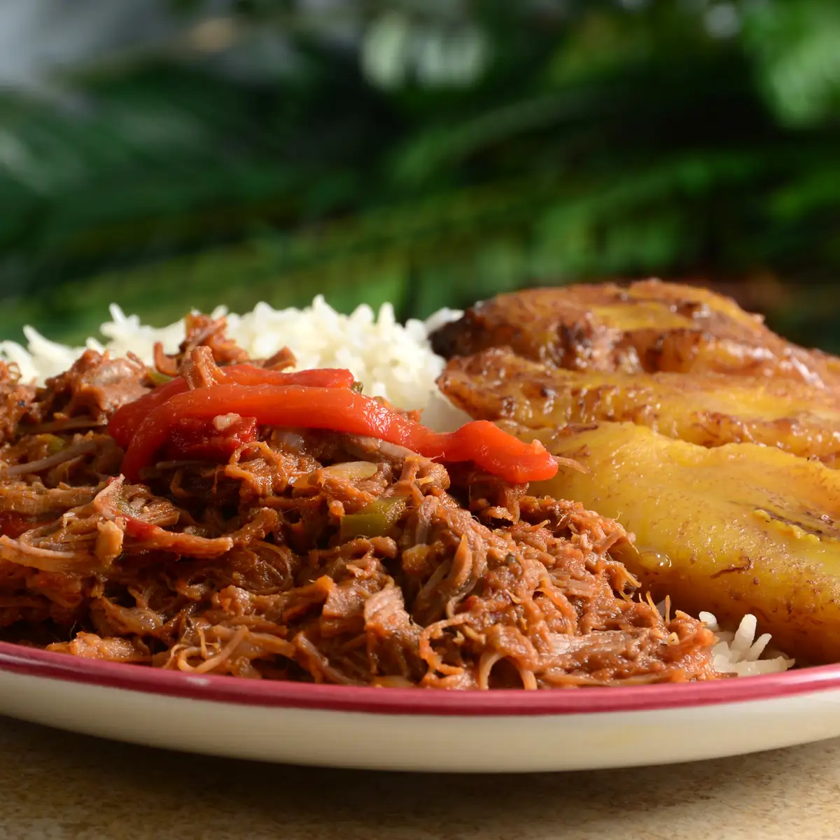 ropa vieja iStock