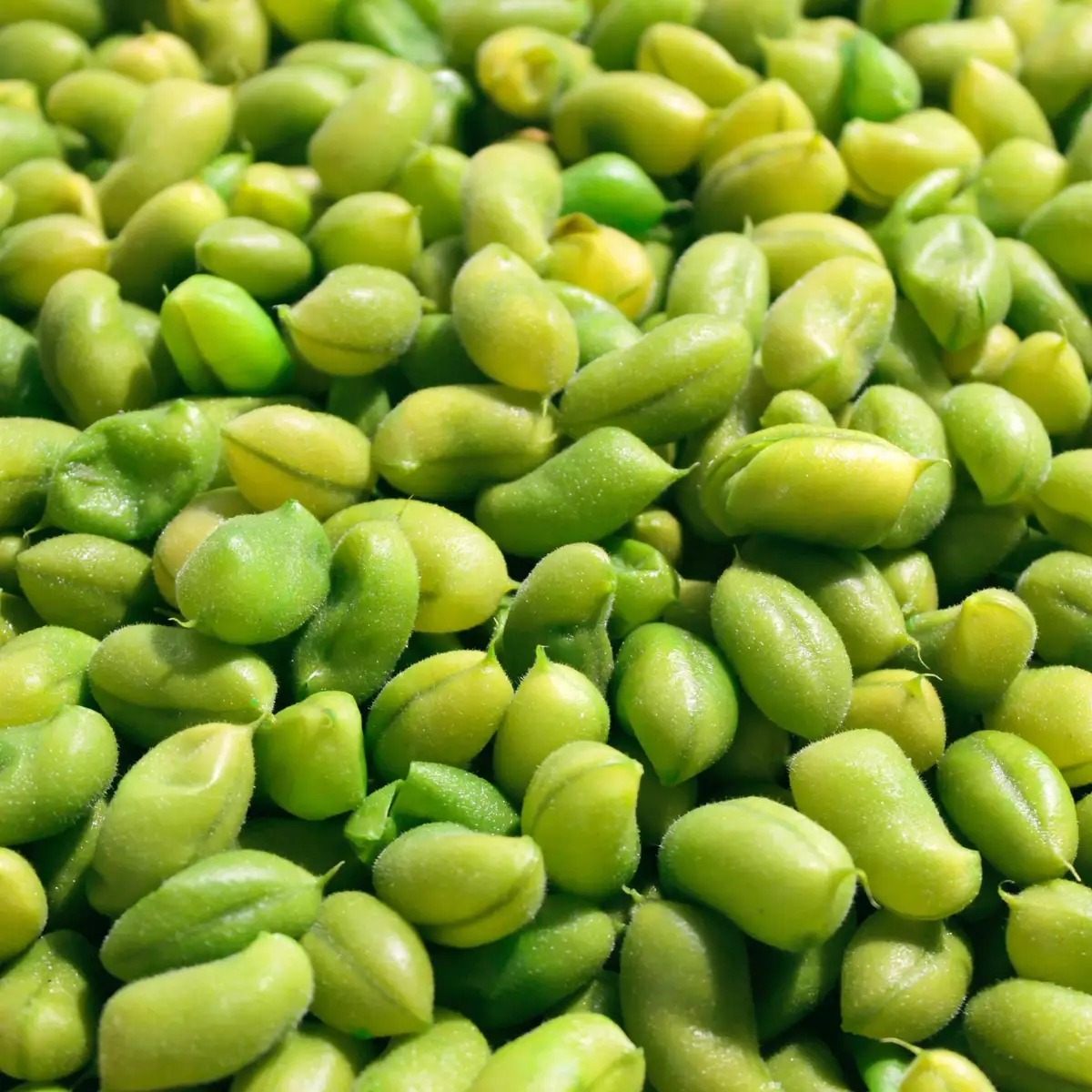 Edamame