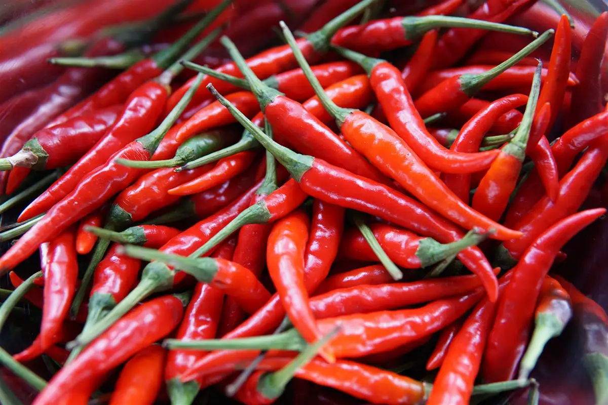 Chiles picantes