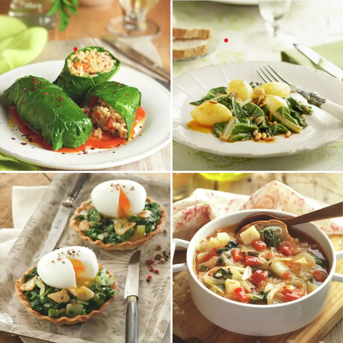 recetas con acelgas 1