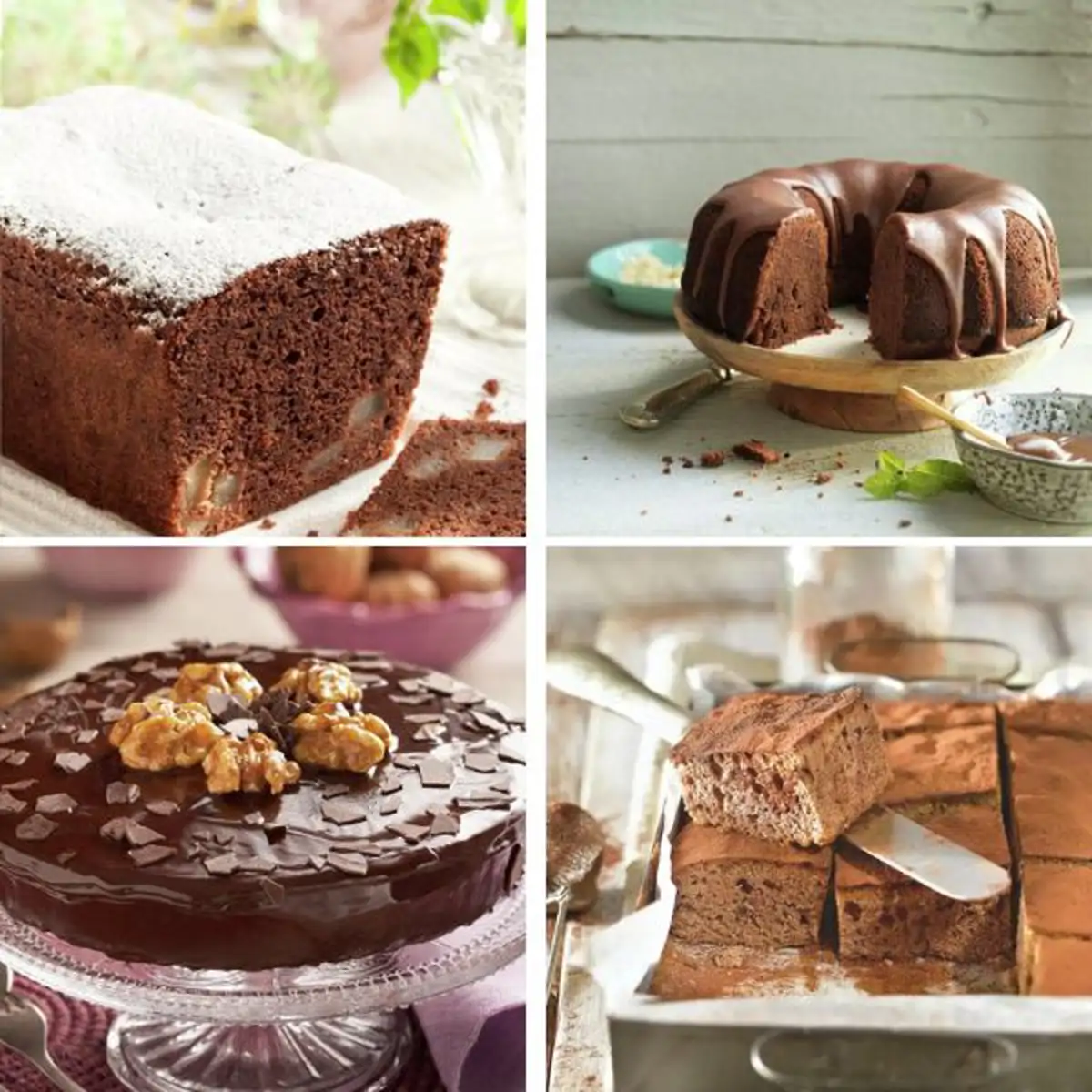 10 recetas con bizcochos de chocolate(portada)