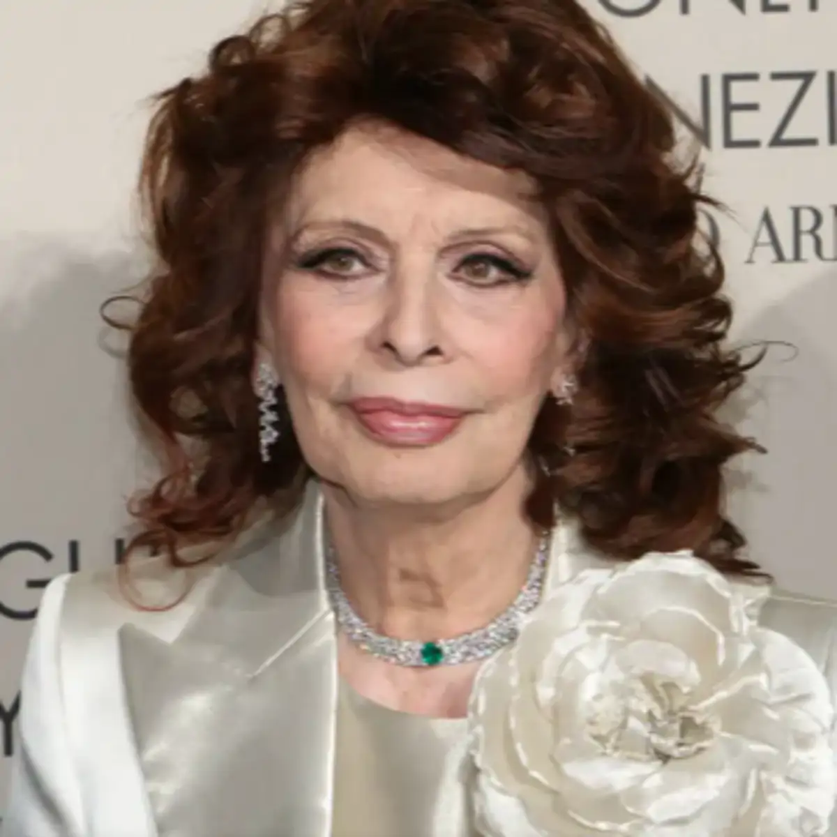 Sophia Loren