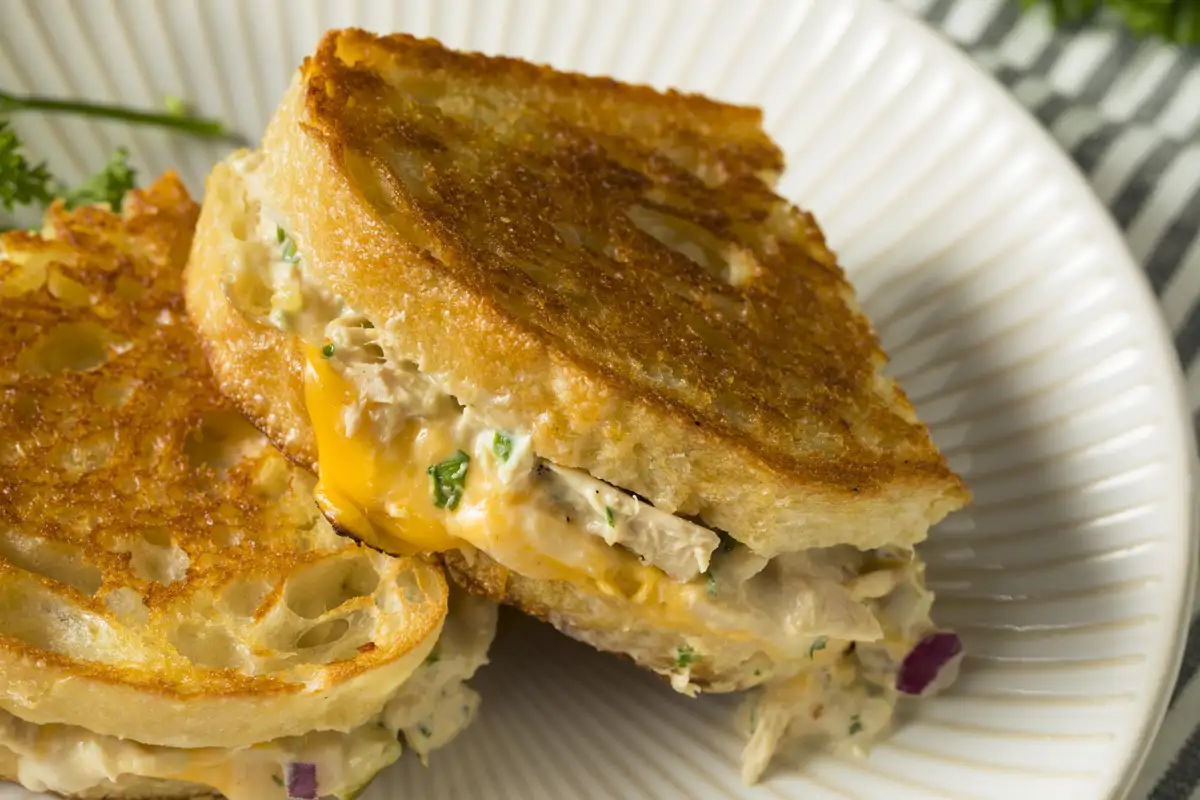 sandwich proteico  en 15 minutos y en la airfryer