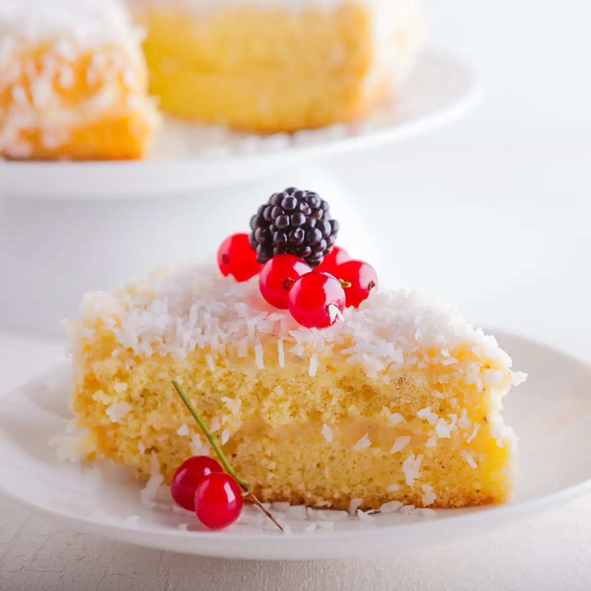 Tarta de coco y yogur en 5 minutos