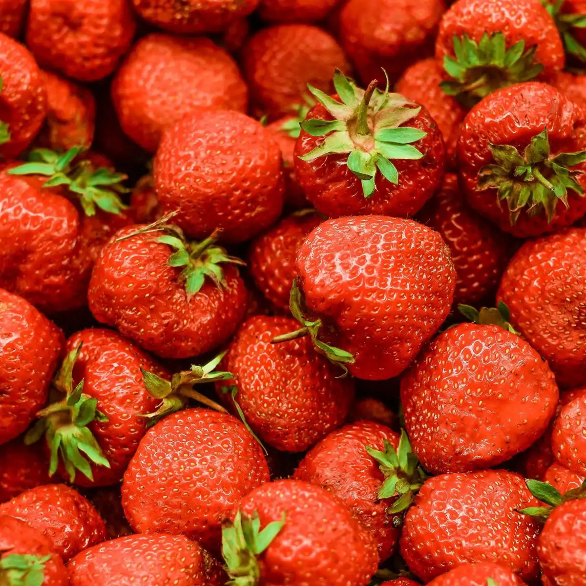 Fresas