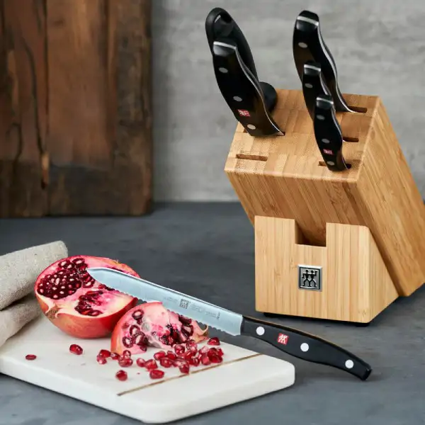 Taco de cuchillos Zwilling Twin Pollux (6)